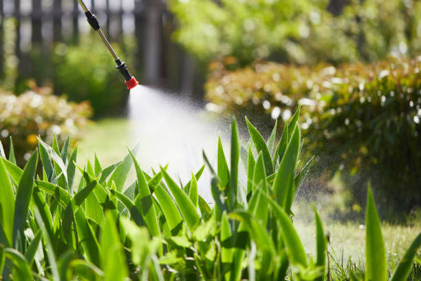 24/7 Emergency Mosquito Control experts in Lazy Mountain, AK